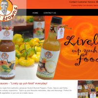 Website Portfolio Page 2